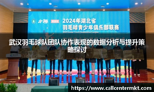 武汉羽毛球队团队协作表现的数据分析与提升策略探讨